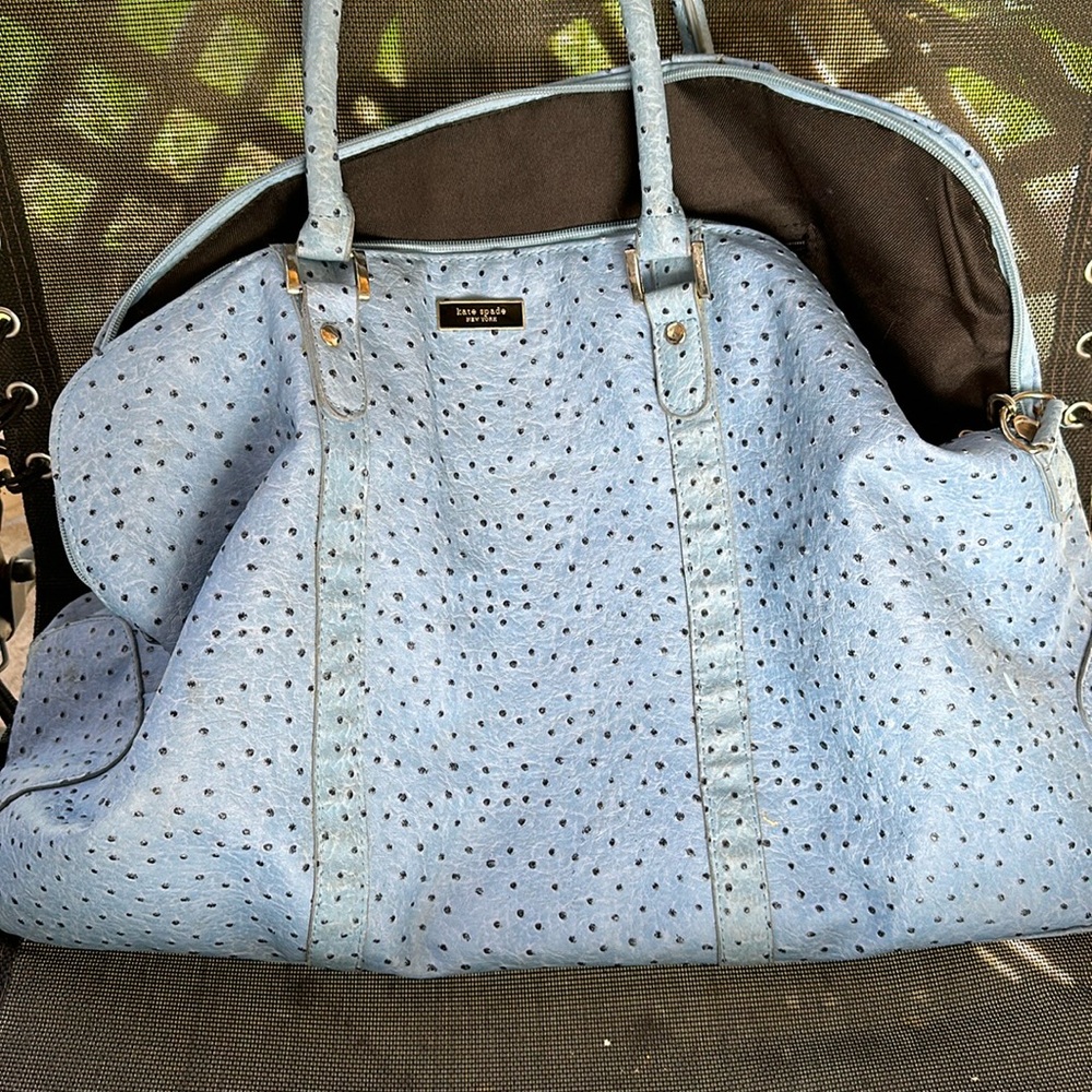 Large bag/purse.